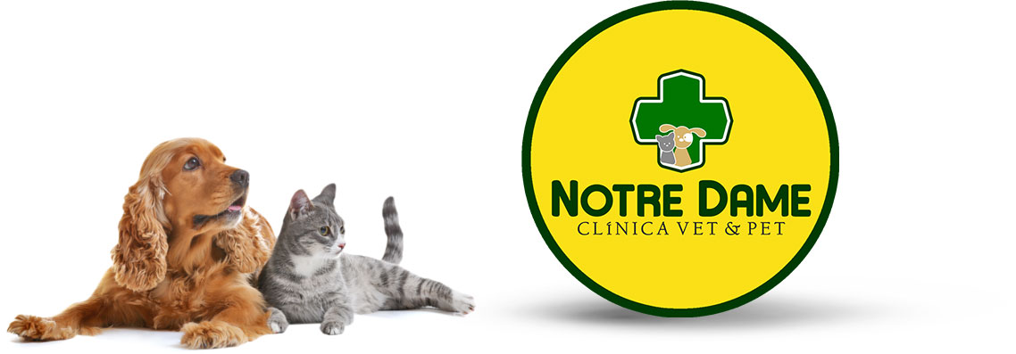 Notre Dame I Pet Shop